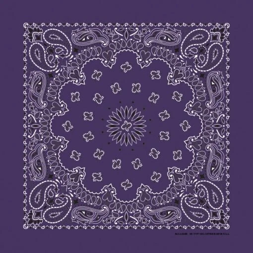 Bandana Ciruela Paisley 22x22 Foto 1 de 1