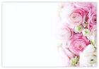 OASIS® Blank Flower Message Cards - 60mm x 90mm - Florist Supplies