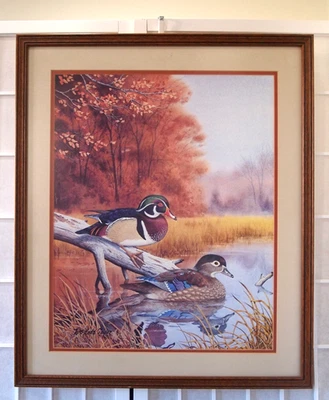 William Redd Taylor PATO Y COMPAÑERO EN ESTANQUE naturaleza encargado arte enmarcado Foto 1 de 4