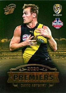 ✺New✺ 2020 RICHMOND TIGERS AFL Premiers Card DAVID ASTBURY - 11 of 25