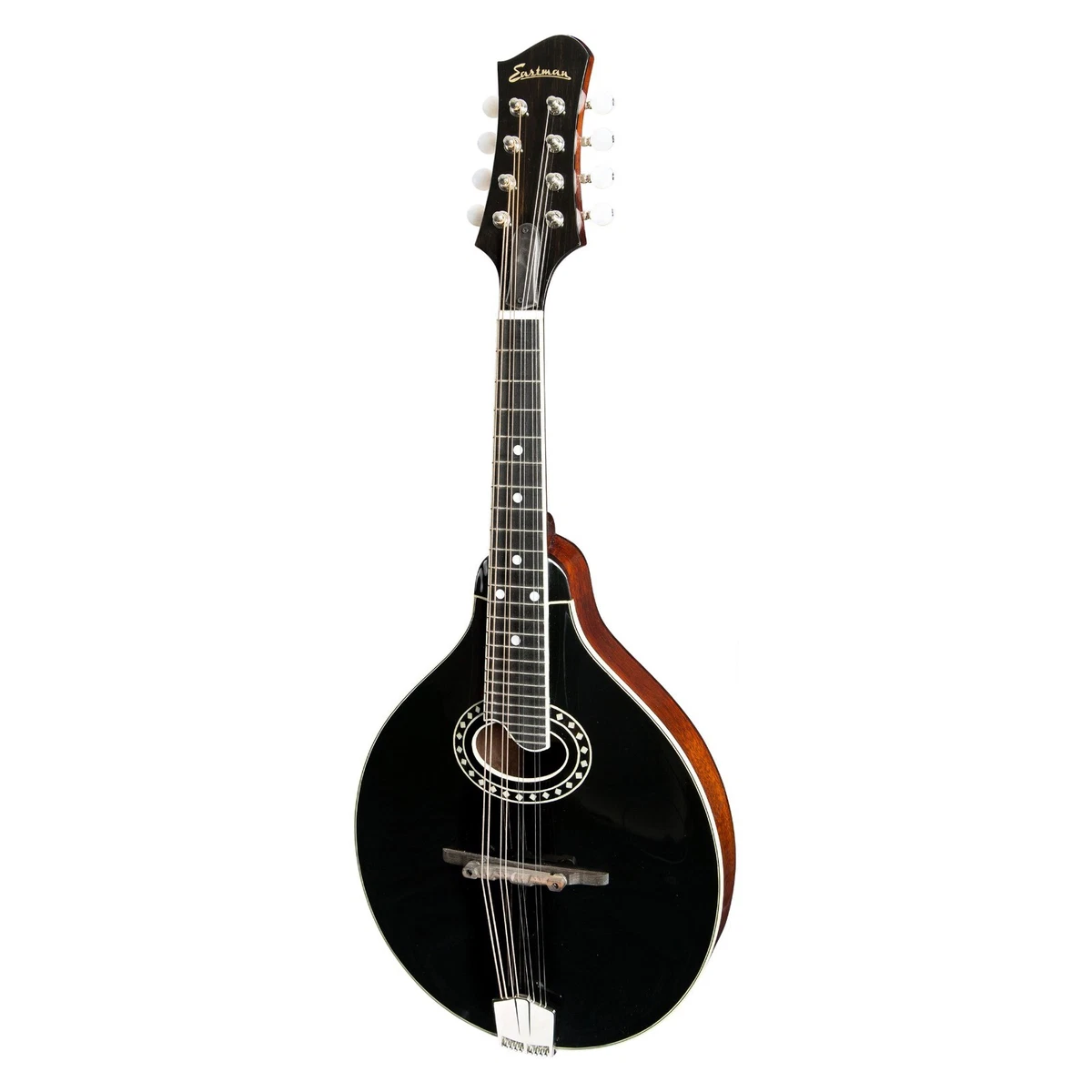 Eastman イーストマン フラットマンドリン トーンガード付レア