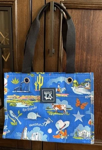 Paquete Scout Pequeño 11x8x4 Bolsa de Regalo Reutilizable TX Texas Estampado Azul Vaca Cactus - Imagen 1 de 4