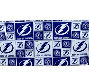 Tampa Bay Lightning ~ Block Pattern NHL Cotton Fabric 1/4 Yard 9” X 44” New - Picture 1 of 23