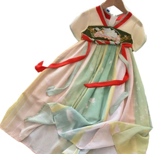 Girl Retro Traditional Embroidered Dress Ancient Costume Floral Dress Hanfu - Picture 1 of 13