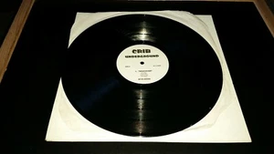 Ideal,Tony Touch & Prodigy, Ice Cube  Whatever / Basics / Waitin' Ta Hate 12" VG - Picture 1 of 3