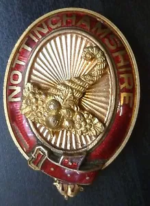 Nottinghamshire Masonic Provincial Officer Enamelled Collar Jewel - Picture 1 of 2