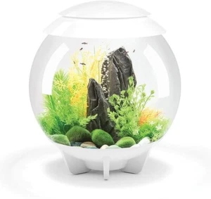 OASE biOrb Halo 30L Aquarium with LED Lighting – Model 72040 – White – New - Picture 1 of 4