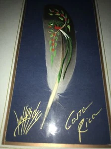 Costa Rica - Luis Sanchez - Painted Bird Feather - Signed - Folk Art - Original - Picture 1 of 4