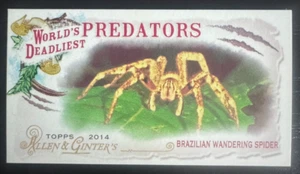2014 Allen Ginter Mini Deadliest Predators WDP13 - Brazilian Wandering Spider - Picture 1 of 1