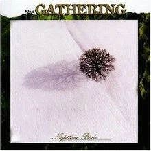 Nighttime Birds von Gathering,the | CD | Zustand sehr gut - Bild 1 von 2