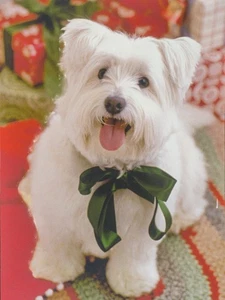 Hallmark 15 Puppy Dog Green Bow Holiday Christmas Cards - Picture 1 of 1