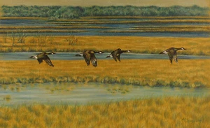 Canada Geese in Flight, Original Bird Pastel Drawing, 12 x 8.5 by ADA Trenga - Picture 1 of 5