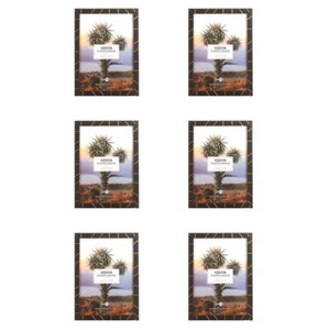 6x Unigift Kenya Photo/Picture Frame Portrait Display Home Desk Decor A4 Assort - Picture 1 of 3