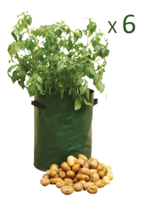 ROWAN 6 x Potato Tomato Bag Planter Grow Your Own Sack Tub Patio Potatoes Garden UK