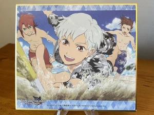 Tales of Symphonia Abyss Rays Luke Lloyd Ix Shikishi tablero exhibición de arte - Imagen 1 de 4