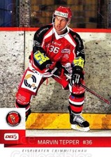 2014-15 German DEL2 #256 Marvin Tepper