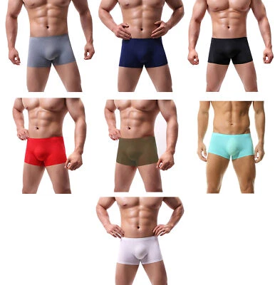 Mens Summer Swim Trunks Mesh Stretchy Underwear Boxer Shorts Bulge Pouch Panties - Image 1 of 4