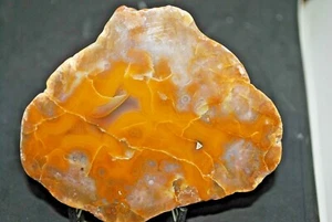 KENTUCKY NATURAL AGATE - Picture 1 of 4