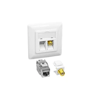 1x Cat6A Netzwerkdose mit Keystone Jack Modul 10Gbit RJ45 LAN + TV SAT F-Antenne - Afbeelding 1 van 12