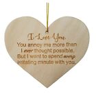 Funny Anniversary Gift Heart Shaped Ornament I Love You You Annoy Me Valentines