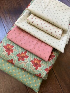 Moda Jelly Bean By Laundry Basket Quilts Edyta Sitar 5 Yard Bundle, Fat Quarter - Picture 1 of 13