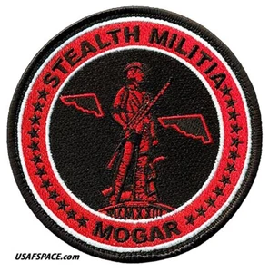 USAF 110TH BOMB SQ-110 BS-B-2-STEALTH BOMBER-MILITIA-AFGSC-Whiteman AFB-PATCH - Picture 1 of 5