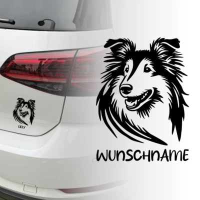 UNIDAMO Auto Aufkleber | Collie Hund | Dog | Wunschname Personalisiert Sticker 642