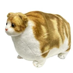 Fatty Zoo Scottish Fold Cat Animals Plush Toy Stuffed Toy Kawaii Neko Japan New - Picture 1 of 5