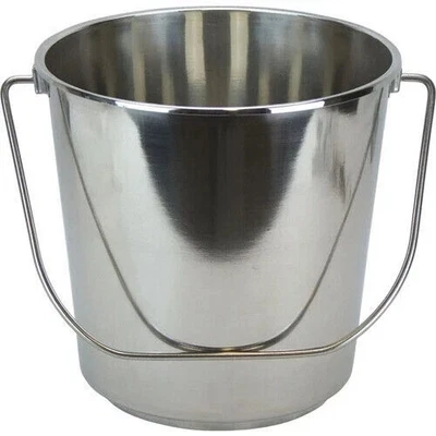 Stainless Steel Bucket with Handle 12Ltr HDuty Premium Quality NewModel - image 1 of 4