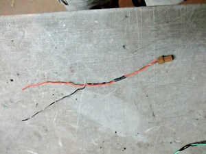 Rear Speaker Wire Harness Orange NISSAN XTERRA 00 01 02 03 04  - Picture 1 of 3