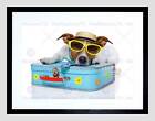 JACK RUSSELL DOG VACATION SUIT CASE HOLIDAY BLACK FRAMED ART PRINT B12X9061