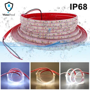 24V 2835 120LEDs/m LED Strip Light Flexible Rope IP68 Waterproof Underwater Lamp - Picture 1 of 13
