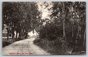 Postcard Belanger's Grove Sea View Mass - Picture 1 of 3
