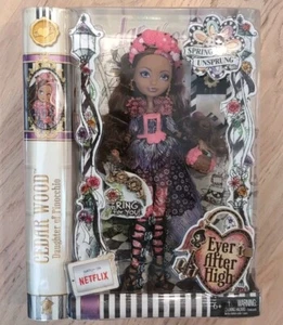 Mattel 2014 Ever After High Spring Unsprung Briar Beauty Sin usar, en caja - Imagen 1 de 3