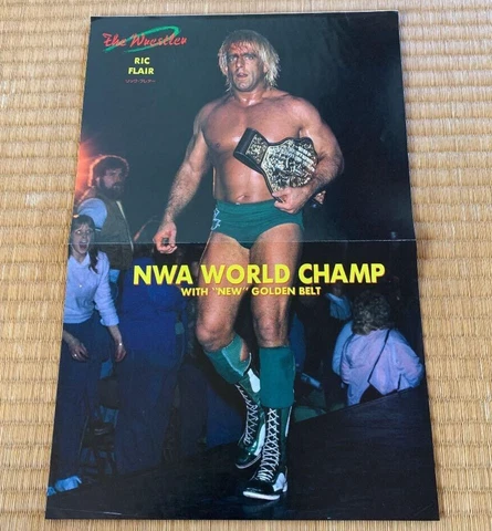 NWA World Champion Ric Flair Pro Wrestling Poster NJPW AJPW Cover
