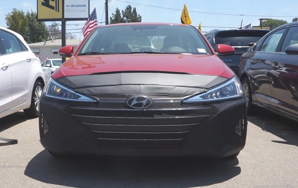 Lebra Front End Mask Cover Bra Fits 2019-20 Hyundai Elantra W/OLICENSE EXC.GT - Image 1 of 1