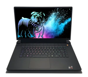 Dell Alienware m17 R5 17,3" QHD 165Hz R7 6800H 64GB 512GB RTX 3070 Ti G-Sync W11 - Bild 1 von 6