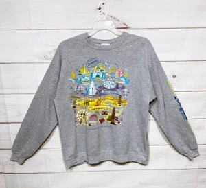 Disney Parks Authentic Sweatshirt Size L Gray Long Sleeve Pullover - Picture 1 of 10