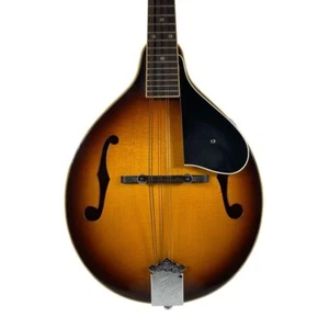 Kasuga M-25 Custom Mandoline Japan Vintage Akustikgitarre - Bild 1 von 12
