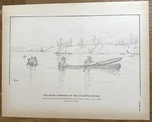 Antigua impresión de pesca Skim-net Fishing in the Neuse River, Carolina del Norte 1887 - Imagen 1 de 14