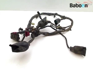 Wiring Harness (Main) Honda VTX 1300 (VTX1300 SC52) (32100-MEA-7400) - Picture 1 of 4