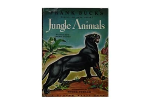 Jungle Animals - Picture 1 of 13
