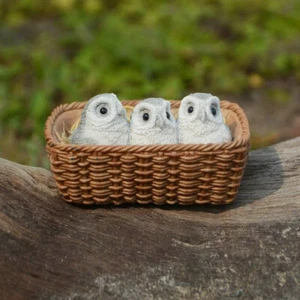 Búhos bebés en cesta a 4985 jardín de hadas miniatura - Imagen 1 de 1