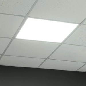 Einbaulampe Panel Deckenlampe LED Rasterleuchte Tageslicht Flurlampe L 59,5 cm - Bild 1 von 12
