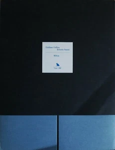Giuliano Collina Roberto Sanesi cartella 2 acqueforti 1981 Milton 45x35 firmate - Foto 1 di 7