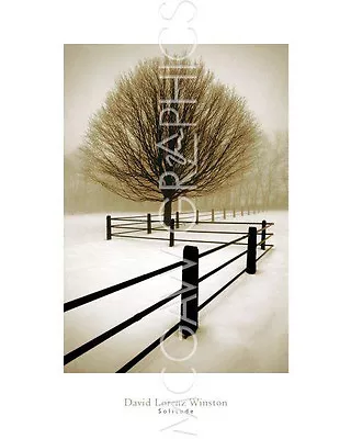Solitude, David Lorenz Winston, Wall Decor Home Art Print Poster 20" X 16"  692 - Image 1 of 2