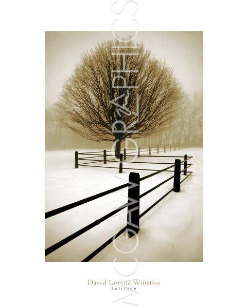 Solitude, David Lorenz Winston, Wall Decor Home Art Print Poster 20" X 16"  692 - Image 1 of 2