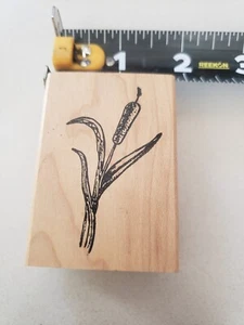 Stampacadabra Water Plant cattail Rubber stamp - Picture 1 of 3
