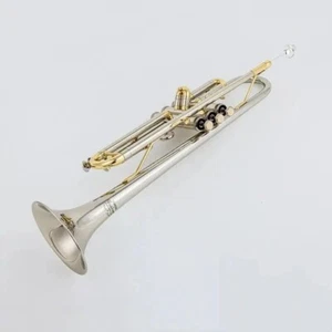 Trompeta Profesional con Accesorios Instrumentos Trompeta Plateados - Imagen 1 de 5