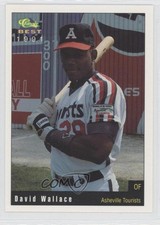 1991 Classic Best Asheville Tourists David Wallace #24